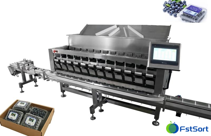 images/1742191416588blueberry packing equipment.jpg